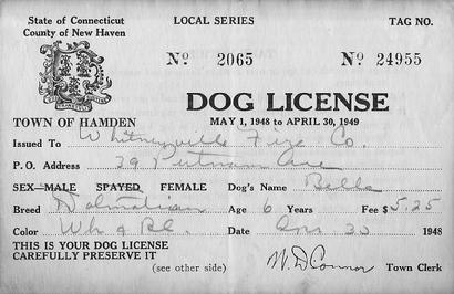 One of several of Belle's dog licenses that were saved at old Station 3. They were issued by the Town Clerk, Walter D. Connor. Mr. Connor remained the Town Clerk until the mid-1960s.